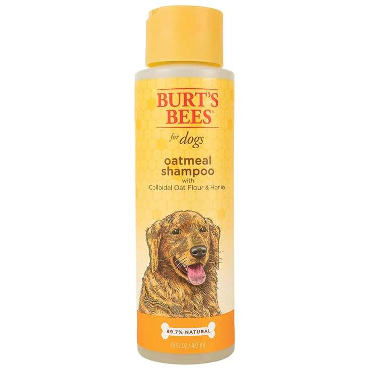 12 Pet Shampoos That’ll Keep Your Four-Legged Friend’s Coat Soft and Healthy